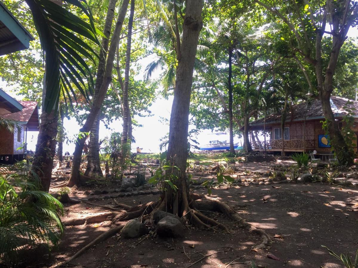Beach House Resort And Dive Center Мамбаджао Екстериор снимка